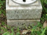 image of grave number 260218